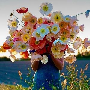 Meet your Posher, Posh